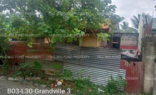fil5920250806002