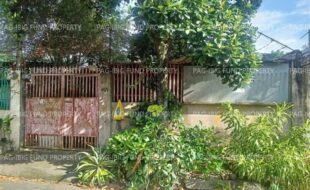 fil5920250813028