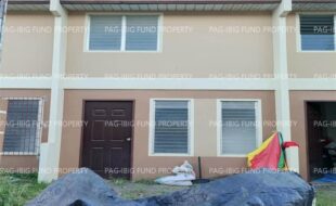 fil5920250911022
