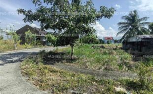 fil5920250925005