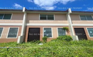 fil5920251201005