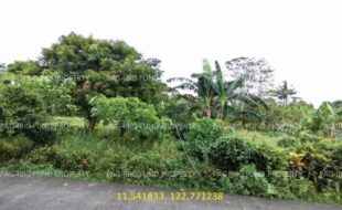 fil5920260130002