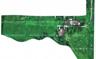 fil5920260213001
