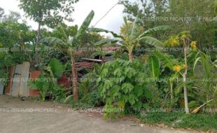 fil5920260226067