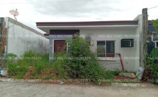 fil5920260408103