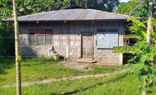 fil6420190905003