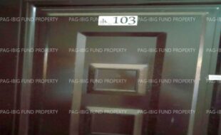 fil6420240524012