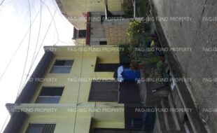 fil6420240730024