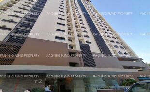 fil6420241112043