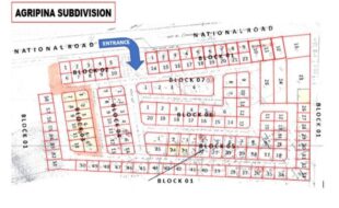 fil6420241202041