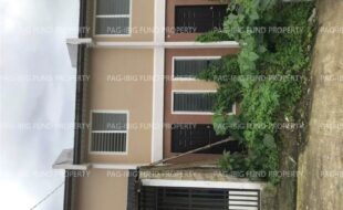 fil6420241211009