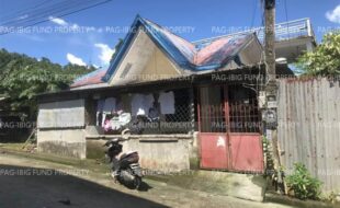 fil6420241219048