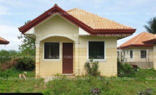 fil6420250307005