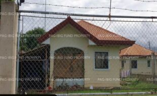 fil6420250307007