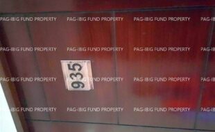 fil6420251106006