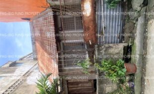 fil6420251114033