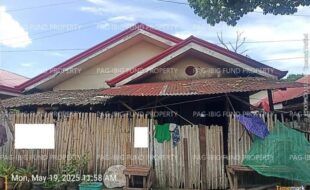fil7620250529013