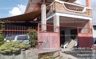fil7620250806038