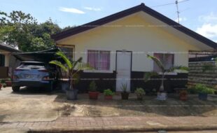 fil8220200717025