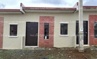 fil8220231201007