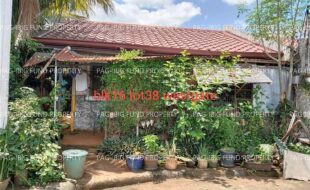 fil8220250321330