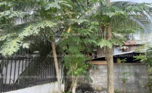 fil8220250416007