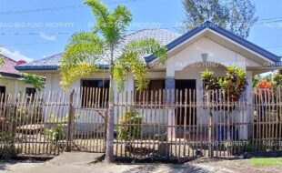 fil8220251110003