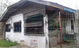 fil8820200203002