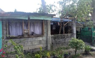 fil8820200203035