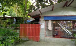 fil8820210903007