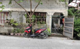 fil8820211023006