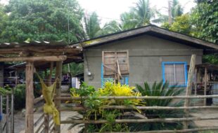 fil8820220211038