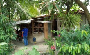 fil8820220506003
