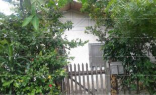 fil8820220523008