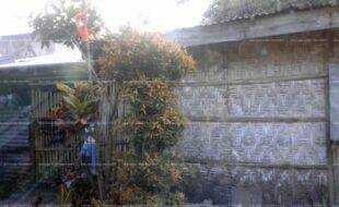 fil8820220523012