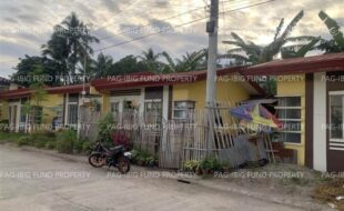 fil8820230201007