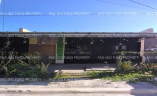 fil8820230327002