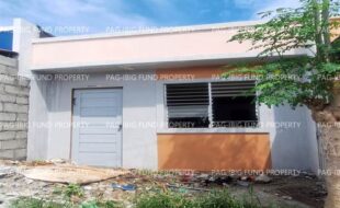 fil8820240212012