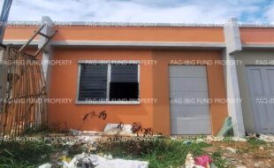 fil8820240212013