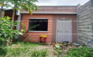 fil8820240212026