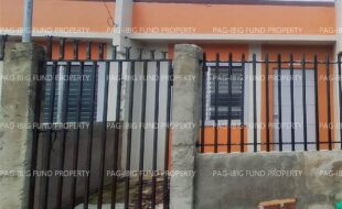 fil8820240212036