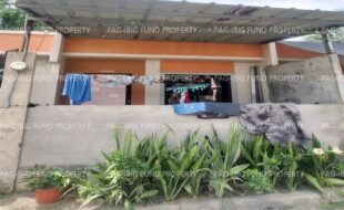 fil8820240212053