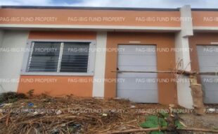 fil8820240212067