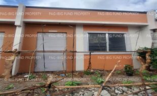 fil8820240212068