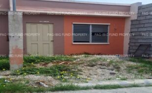 fil8820240212072