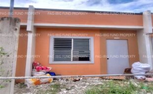 fil8820240212074