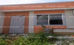 fil8820240212086