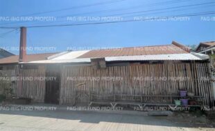 fil8820240420005