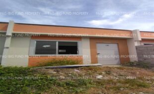 fil8820240618030