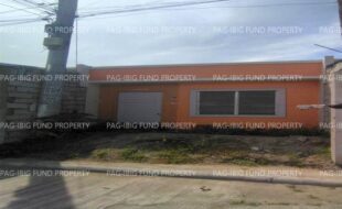 fil8820240618031